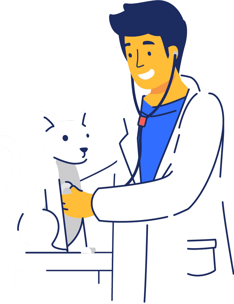 All Vet Services